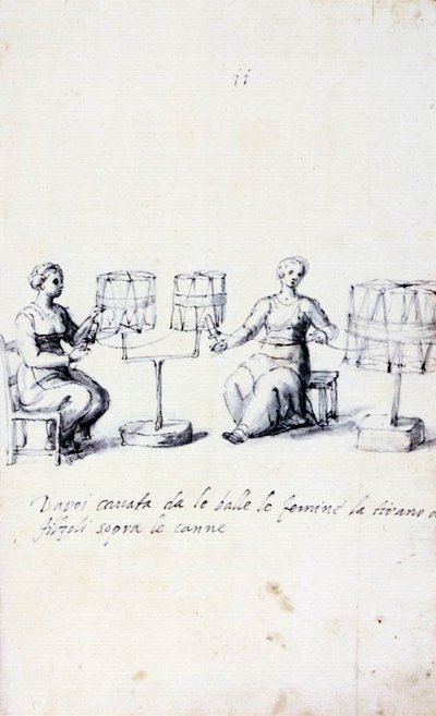Treatise on Silk Culture and Manufacture by Giuseppe Arcimboldo
